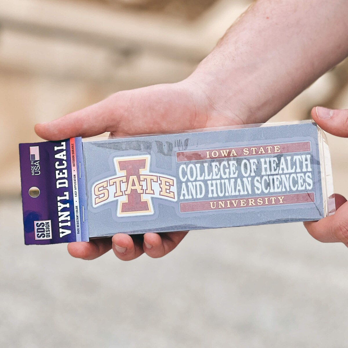 I-State College of Health & Human Sciences Vinyl Decal (6"X2")